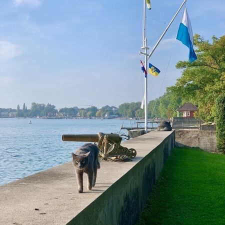 Ein Signalmast ohne Nagelbank am Wasser